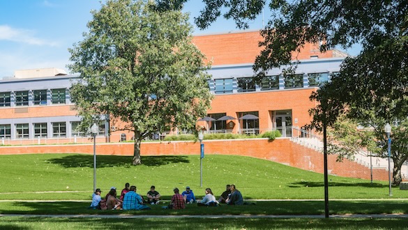 Students sitting on the grass