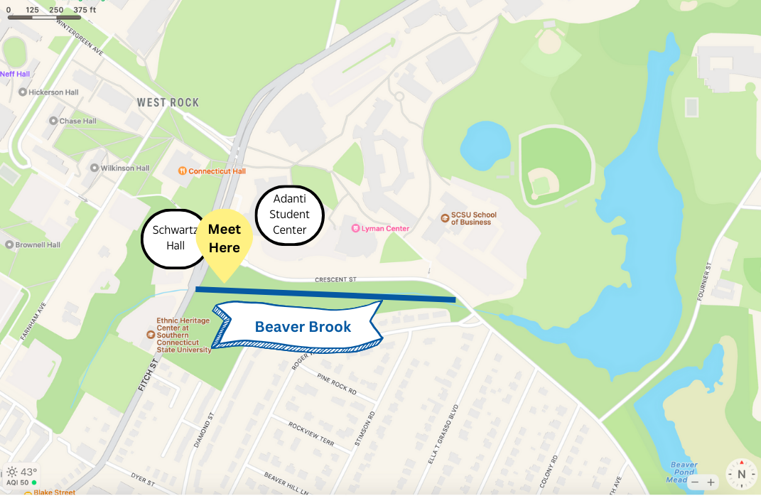 A map of the location of Beaver Brook pond in New Haven