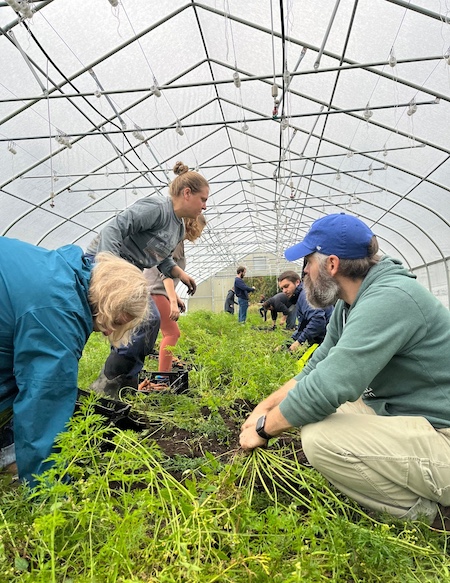 Students and faculty working in a garden