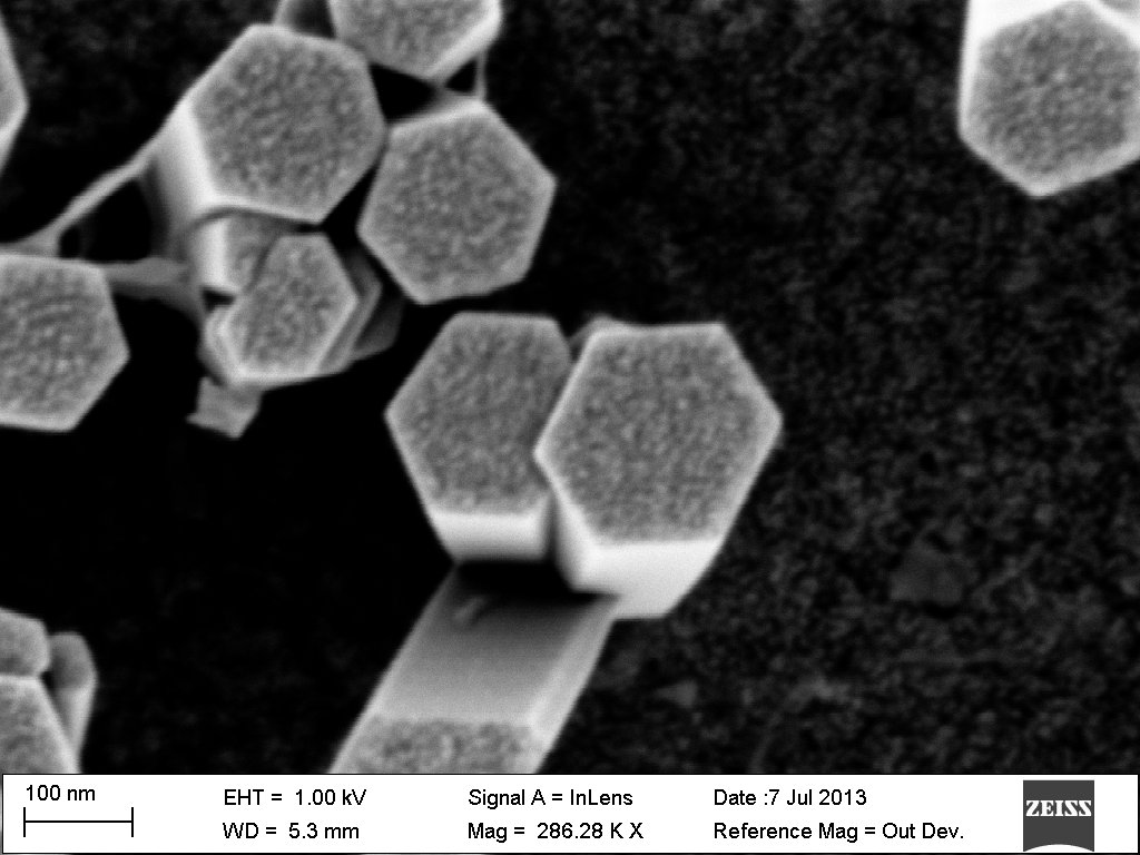 Zinc Oxide Nanowires zoomed in