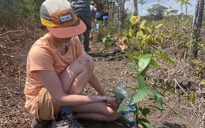 a student kneels on the ground to plant a tree seedling