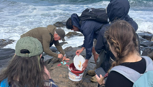 Students by the coast working