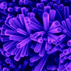 Nanowire fireworks with purple color